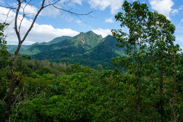 DSC07201