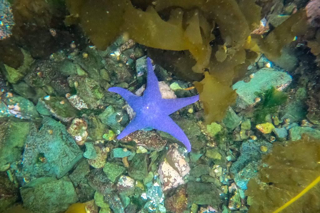 GOPR0754 GOPR0754