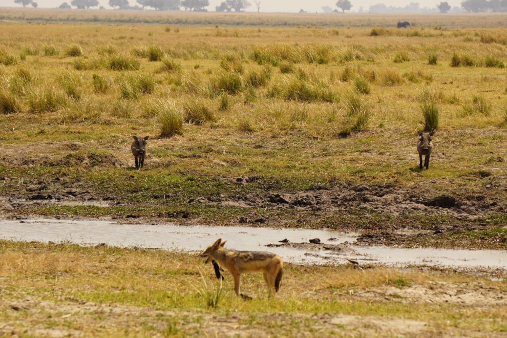 titelbild-namibia-chobe
