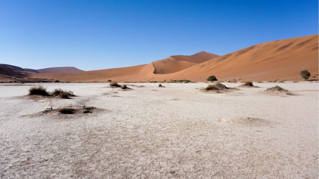 titelbild-namibia-namib-sueden