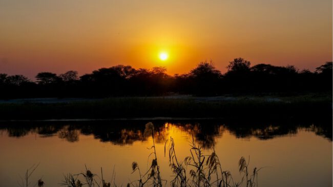 titelbild-namibia-sambesi Roadtrip Blog