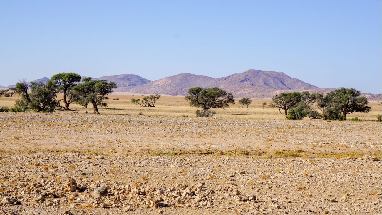 roadtrip namibia namib