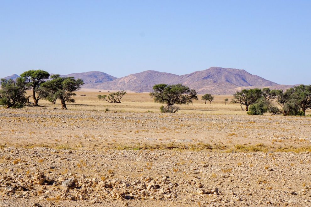 titelbild-namibia-strasse roadtrip namibia namib